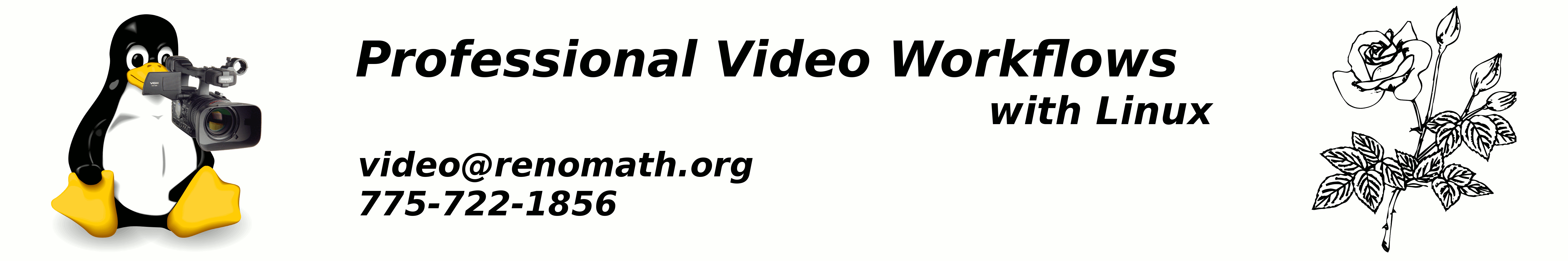 Professional Video Workflows with Linux